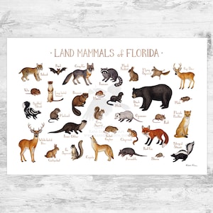 Impression d'art du guide de terrain des mammifères terrestres de Floride / Animaux de Floride / Peinture à l'aquarelle / Art mural / Impression de la nature / Poster de la faune