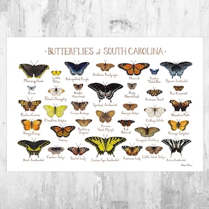 South Carolina Butterflies Field Guide Art Print / Butterfly Poster / Watercolor Painting / Wall Art / Nature Print