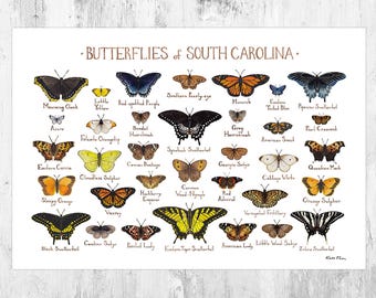 South Carolina Butterflies Field Guide Art Print / Butterfly Poster / Watercolor Painting / Wall Art / Nature Print