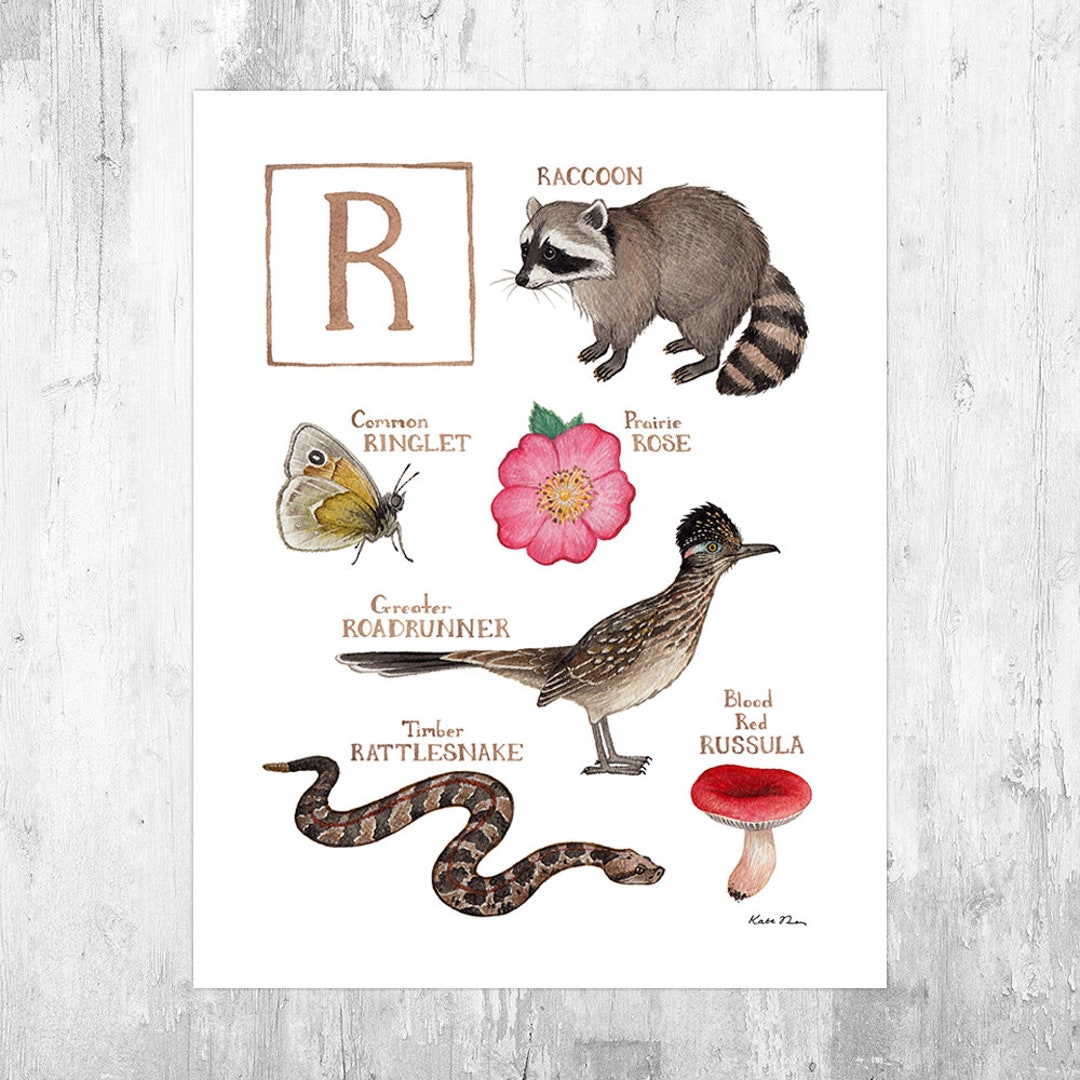 Letter r Nature Alphabet Art Print / Monogram / - Etsy