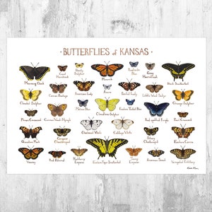 Kansas Butterflies Field Guide Art Print / Butterfly Poster / Watercolor Painting / Wall Art / Nature Print