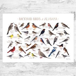 Alabama Backyard Birds Field Guide Art Print / Watercolor Painting Print / Birdwatching Wall Art / Nature Print / Bird Poster