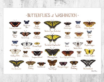 Washington Butterflies Field Guide Art Print / Butterfly Poster / Watercolor Painting / Wall Art / Nature Print