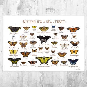 Impression d'art guide du New Jersey sur les papillons / Poster de papillons / Peinture à l'aquarelle / Art mural / Impression de la nature