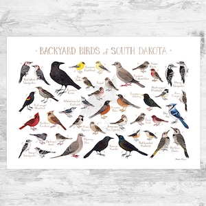 Guía de campo de aves de patio de Dakota del Sur (impresión artística/impresión de acuarela/arte mural de observación de aves/impresión de naturaleza/póster de aves)