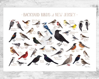 New Jersey Backyard Birds Field Guide Art Print / Watercolor Painting Print / Birdwatching Wall Art / Nature Print / Bird Poster