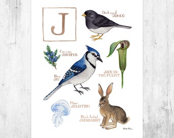 Letter "J" Nature Alphabet Art Print  / Monogram / Initial Wall Art / Watercolor Nature Print