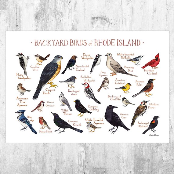 or cards Rhode Island watercolor print