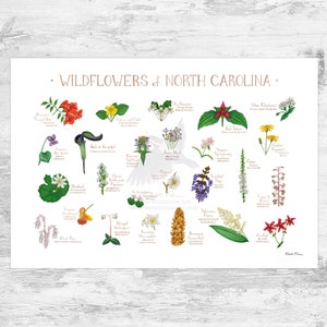 North Carolina Wildflowers Field Guide Art Print / Common Flowers of North Carolina / North Carolina Native Plants Poster