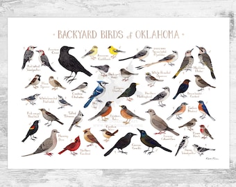 Oklahoma Backyard Birds Field Guide Art Print / Watercolor Painting Print / Birdwatching Wall Art / Nature Print / Bird Poster