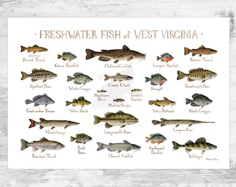 洋書　Freshwater Aquarium Fishes 淡水魚　大型本 洋書 Freshwater Aquarium Fishes 淡水魚 大型本 Tropical