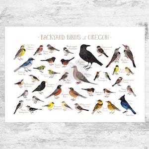 Oregon Backyard Birds Field Guide Art Print / Watercolor Painting Print / Birdwatching Wall Art / Nature Print / Bird Poster