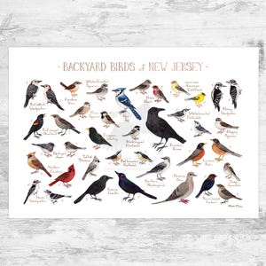 Impression d'art du guide des oiseaux du jardin du New Jersey / Impression de peinture aquarelle / Art mural observation des oiseaux / Impression de la nature / Poster d'oiseaux