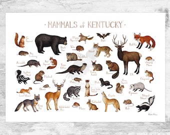 Kentucky Mammals Field Guide Art Print  / Animals of Kentucky / Watercolor Painting / Wall Art / Nature Print / Wildlife Poster