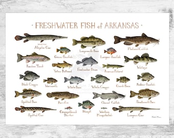 Florida Freshwater Fish Field Guide Art Print / Fish Nature | Etsy