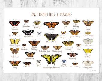 Maine Butterflies Field Guide Art Print / Butterfly Poster / Watercolor Painting / Wall Art / Nature Print