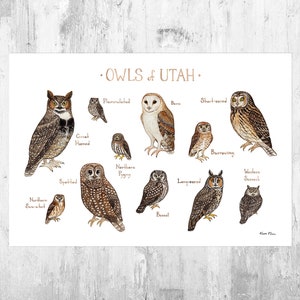 Utah Owls Field Guide Art Print / Watercolor Painting / Wall Art / Nature Print / Birds of Prey Poster