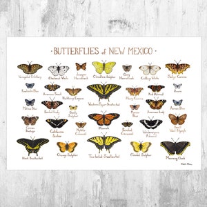New Mexico Butterflies Field Guide Art Print / Butterfly Poster / Watercolor Painting / Wall Art / Nature Print