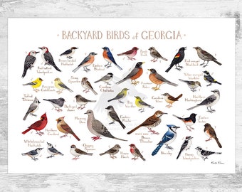 Georgia Backyard Birds Field Guide Art Print / Watercolor Painting Print / Birdwatching Wall Art / Nature Print / Bird Poster