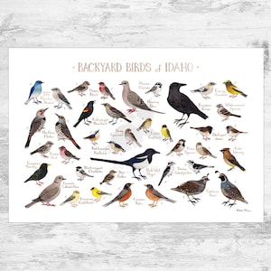 Guía de campo de aves de patio de Idaho (impresión artística, impresión de acuarela, arte mural de observación de aves, impresión de naturaleza, póster de aves)