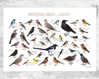 Idaho Backyard Birds Field Guide Art Print / Watercolor Painting Print / Birdwatching Wall Art / Nature Print / Bird Poster