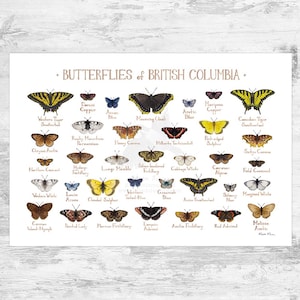 Impression d'art du guide de terrain des papillons de la Colombie-Britannique / Poster papillon / Art mural étude de la nature / Impression de la faune canadienne