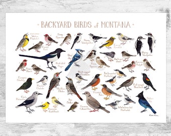 Montana Backyard Birds Field Guide Art Print / Watercolor Painting Print / Birdwatching Wall Art / Nature Print / Bird Poster
