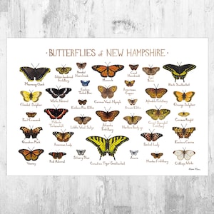 Guide de terrain des papillons du New Hampshire Impression d'art / Poster de papillons / Peinture à l'aquarelle / Art mural / Impression de la nature