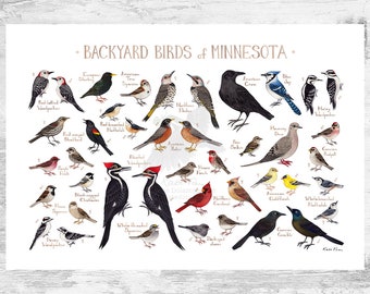 Minnesota Backyard Birds Field Guide Art Print / Watercolor Painting Print / Birdwatching Wall Art / Nature Print / Bird Poster
