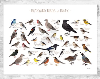 Idaho Backyard Birds Field Guide Art Print / Watercolor Painting Print / Birdwatching Wall Art / Nature Print / Bird Poster