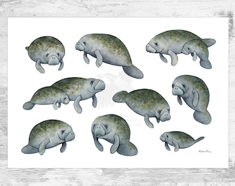 Manatees Signed Art Print / Florida Manatee Art / West Indian Manatee Nature Study / Cute Manatees Poster