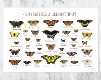 Connecticut Butterflies Field Guide Art Print / Butterfly Poster / Watercolor Painting / Wall Art / Nature Print