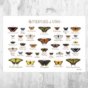 Utah Butterflies Field Guide Art Print / Butterfly Poster / Watercolor Painting / Wall Art / Nature Print