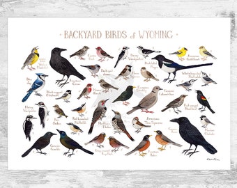 Wyoming Backyard Birds Field Guide Art Print / Watercolor Painting Print / Birdwatching Wall Art / Nature Print / Bird Poster