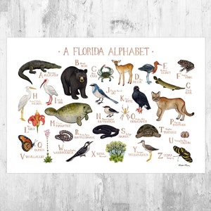 Florida Nature Alphabet Chart Art Print / A Florida ABC Nature Poster / Florida Wildlife Nursery Wall Art