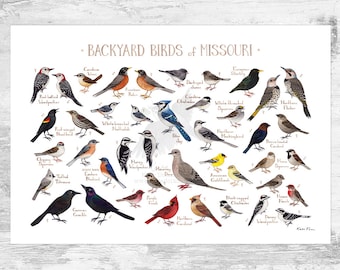 Missouri Backyard Birds Field Guide Art Print / Watercolor Painting Print / Birdwatching Wall Art / Nature Print / Bird Poster