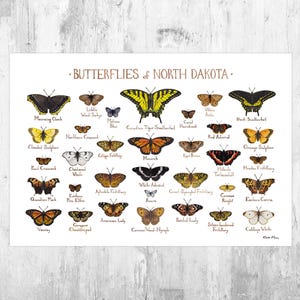 Impresión artística de la guía de campo de mariposas de Dakota del Norte / Póster de mariposas / Pintura de acuarela / Arte mural / Impresión de naturaleza