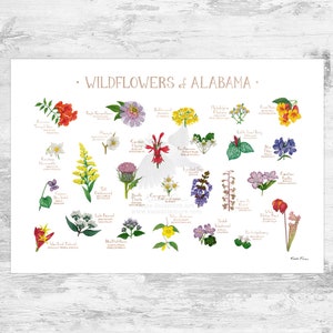 Alabama Wildflowers Field Guide Art Print / Common Flowers of Alabama / Alabama Native Plants Poster