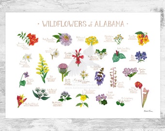 Alabama Wildflowers Field Guide Art Print / Common Flowers of Alabama / Alabama Native Plants Poster