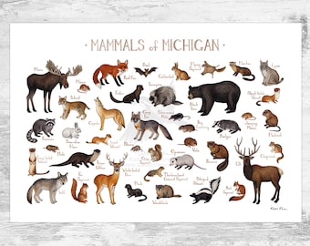 Michigan Mammals Field Guide Art Print  / Animals of Michigan / Watercolor Painting / Wall Art / Nature Print / Wildlife Poster