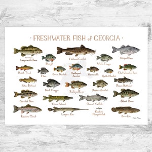 Georgia Freshwater Fish Field Guide Art Print / Fish Nature Study Poster