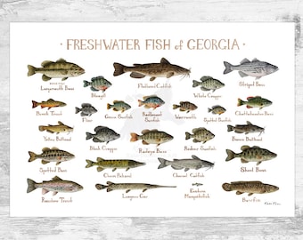Florida Freshwater Fish Field Guide Art Print / Fish Nature | Etsy