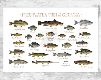 Georgia Freshwater Fish Field Guide Art Print / Fish Nature Study Poster