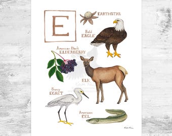 Letter &quot;E&quot; Nature Alphabet Art Print  / 8x10 Monogram Initial Wall Art