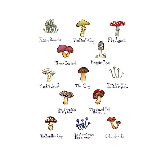 Items similar to Mushrooms Field Guide Art Print / Watercolor Painting / Wall Art / Nature Print ...