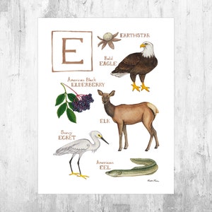 Letter "E" Nature Alphabet Art Print  / Monogram / Initial Wall Art / Watercolor Nature Print