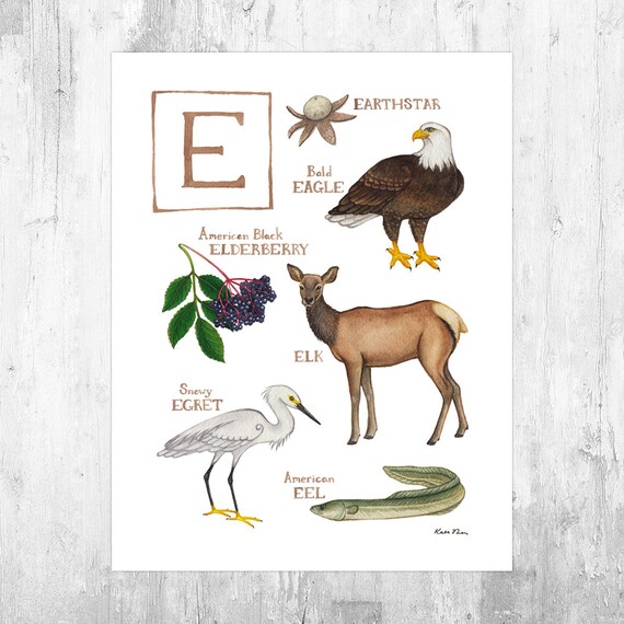 Letter e Nature Alphabet Art Print Monogram Initial Wall Art  