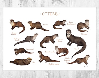 Otters of the World Field Guide Art Print  / Watercolor Wildlife Poster