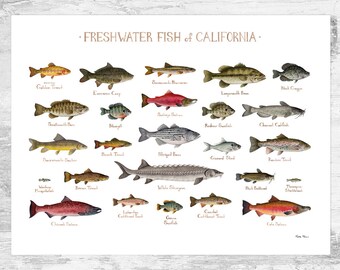 熱帯魚　図鑑　洋書　ディスカス　南アメリカ　魚　Fish Aqualog 淡水魚 熱帯魚 図鑑 洋書 ディスカス 南アメリカ 魚 Fish Aqualog