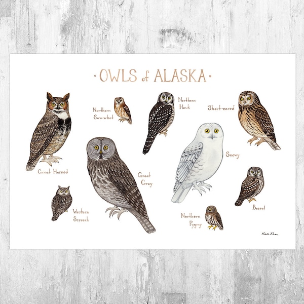 Alaska Wildlife Art Etsy